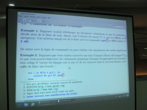 IMG 1956 w480
