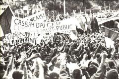 Alger13mai 240 thumb