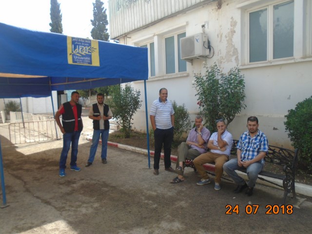 udlsba96