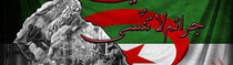 8mai2 w210 h59 cw210 ch59 thumb