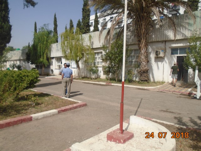 udlsba95