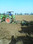 image-00026 h44 cw33 ch44 thumb
