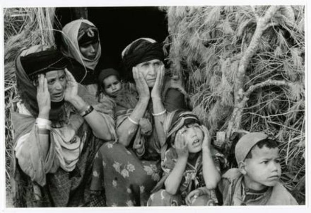 10395853 819123158140151 5711087034995192725 n