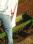 image-00002 h44 cw33 ch44 thumb