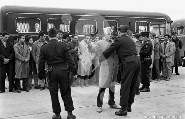 10726814 590605244402435 757246110 n