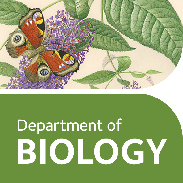 uoo biologylogo buddleia butterfly