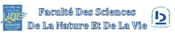 logosnv2022