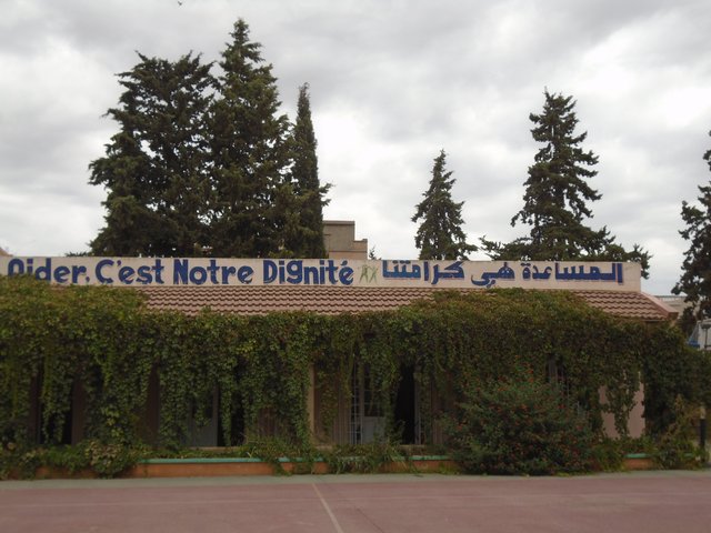 DSC00741