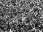 360px-Algerian Independence w89 cw89 ch67 thumb