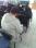 journ-es-scientifique-droit-du-21042016-19- h44 cw33 ch44 thumb