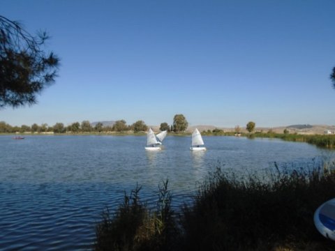 DSC00074 w480