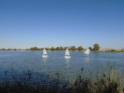 DSC00075 w480