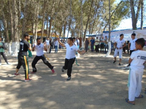DSC00106 w480