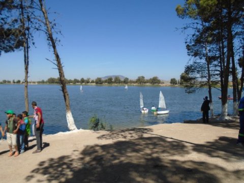 DSC00107 w480